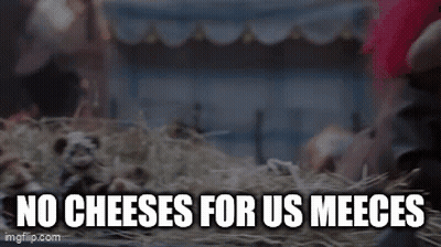 A Bunch Of Stuffed Animals Are Laying In A Pile Of Hay With The Words `` No Cheeses For Us Meeces '' Above Them GIF
