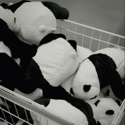 A Bunch Of Stuffed Panda Bears In A White Basket GIF