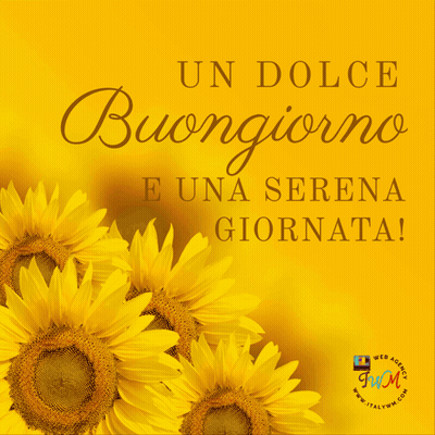 A Bunch Of Sunflowers On A Yellow Background With The Words Un Dolce Buongiorno E Una Serena Giornata GIF