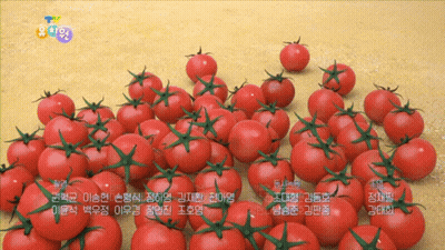 A Bunch Of Tomatoes Are Sitting On A Table With Foreign Writing GIF