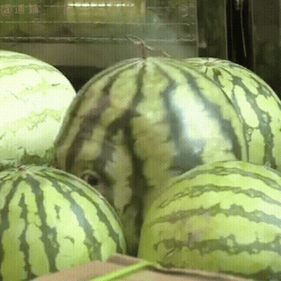 A Bunch Of Watermelons Are Sitting On Top Of A Cardboard Box With Chinese Writing On The Bottom GIF