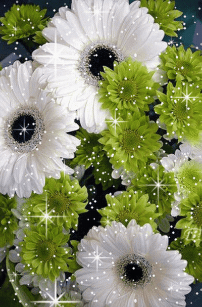 A Bunch Of White Flowers And Green Flowers Are Surrounded By Sparkles . GIF