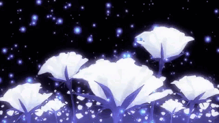 A Bunch Of White Flowers Are Glowing In The Dark With A Black Background . GIF