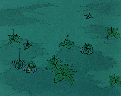 A Bunch Of White Flowers Are Growing On A Green Background GIF