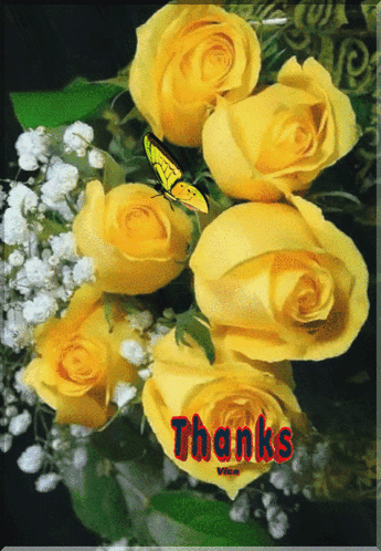 A Bunch Of Yellow Roses With A Butterfly And The Words Thanks In Red GIF