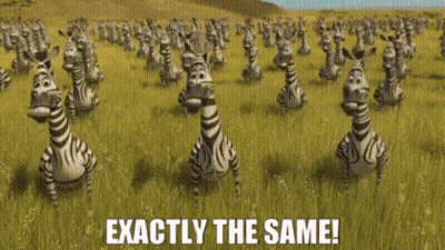 A Bunch Of Zebras Standing In A Field With The Words Exactly The Same Below Them GIF