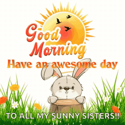 A Bunny Is Sitting On A Tree Stump With The Words " Good Morning Have An Awesome Day To All My Sunny Sisters " GIF