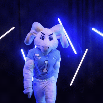 A Bunny Mascot Wearing A Blue Jersey With The Number 1 On It GIF