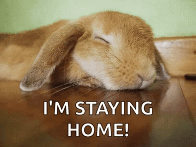 A Bunny Rabbit Is Sleeping On A Wooden Floor With The Words `` I 'M Staying Home '' Written Below It . GIF