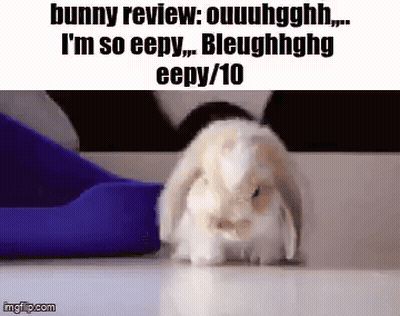 A Bunny Rabbit Is Standing On A White Surface Next To A Blue Object . GIF