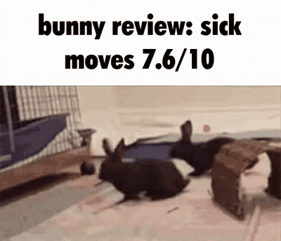 A Bunny Review That Says Sick Moves 7.6 / 10 GIF