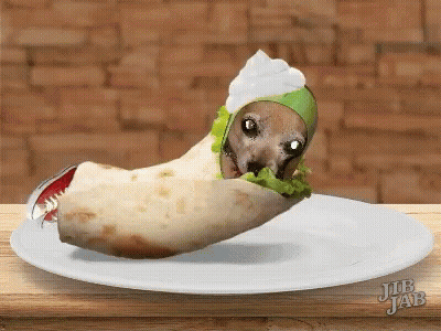 A Burrito With A Face On It Is On A White Plate GIF