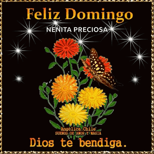 A Butterfly Is Flying Over A Bunch Of Flowers With The Words Feliz Domingo On It GIF