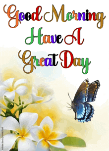 A Butterfly Is Flying Over A Bunch Of Flowers With The Words Good Morning Have A Great Day GIF