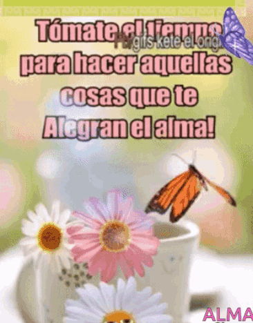 A Butterfly Is Flying Over A Cup Of Flowers And Says " Alma " GIF
