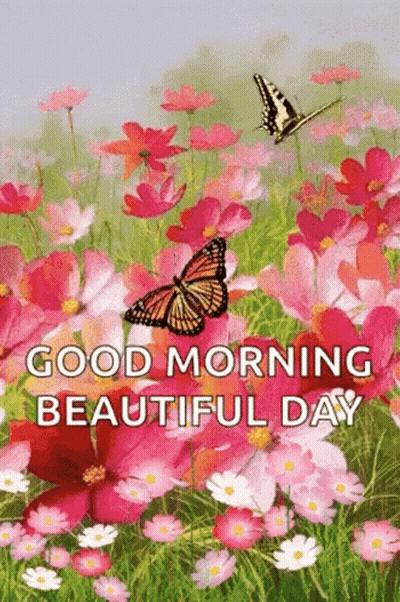 A Butterfly Is Flying Over A Field Of Flowers With The Words `` Good Morning Beautiful Day '' . GIF