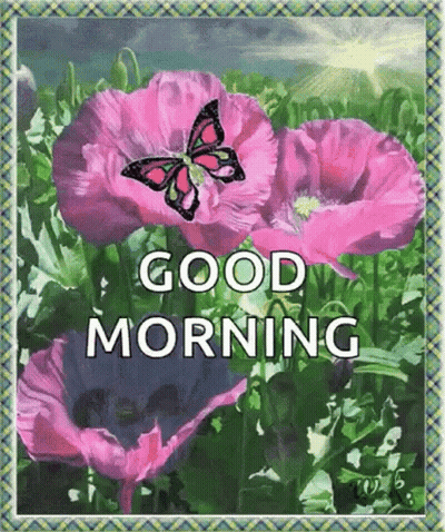 A Butterfly Is Flying Over A Field Of Pink Flowers With The Words `` Good Morning '' Written On It . GIF