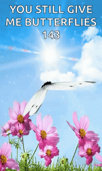 A Butterfly Is Flying Over A Field Of Pink Flowers With The Words You Still Give Me Butterflies 143 GIF