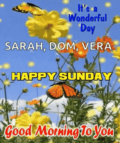 A Butterfly Is Flying Over A Field Of Yellow And Orange Flowers . GIF