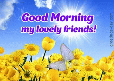 A Butterfly Is Flying Over A Field Of Yellow Flowers With The Words " Good Morning My Lovely Friends " GIF