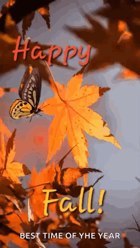 A Butterfly Is Flying Over A Maple Leaf With The Words Happy Fall Best Time Of The Year Written Below It . GIF