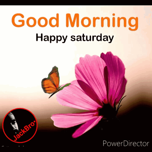 A Butterfly Is Flying Over A Pink Flower With The Words Good Morning Happy Saturday GIF