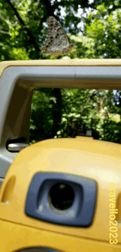A Butterfly Is Perched On Top Of A Yellow Object With The Date October 10, 2023 GIF