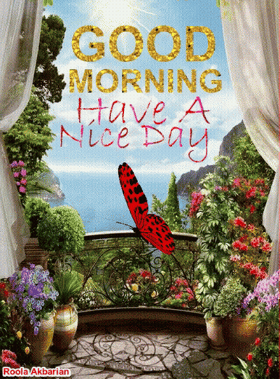 A Butterfly Is Sitting On A Balcony With The Words Good Morning Have A Nice Day GIF