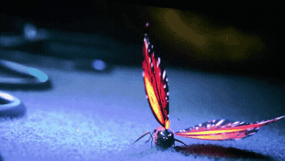 A Butterfly Is Sitting On A Blue Surface With A Purple Background GIF