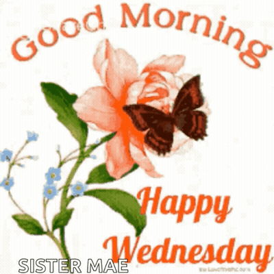 A Butterfly Is Sitting On A Flower With The Words `` Good Morning Happy Wednesday '' Written Below It . GIF