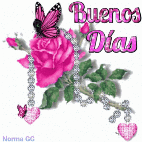 A Butterfly Is Sitting On A Pink Rose With The Words Buenos Dias Above It GIF