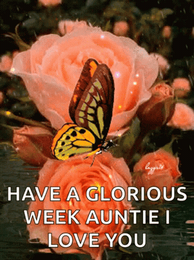 A Butterfly Is Sitting On A Pink Rose With The Words Have A Glorious Week Auntie I Love You Below It GIF