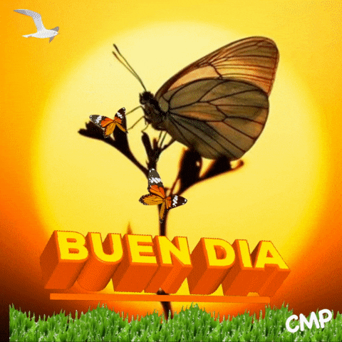 A Butterfly Is Sitting On A Plant With The Words Bueno Dia Written In Yellow GIF