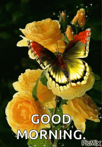 A Butterfly Is Sitting On A Yellow Rose With The Words Good Morning Written Below It GIF