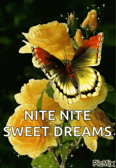 A Butterfly Is Sitting On A Yellow Rose With The Words " Nite Nite Sweet Dreams " GIF