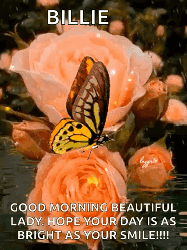 A Butterfly Is Sitting On Top Of A Pink Rose With The Words Billie Good Morning Beautiful Lady Hope Your Day Is As Brigh GIF