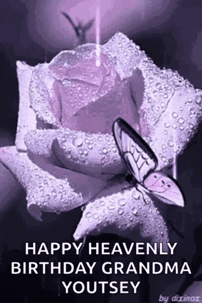 A Butterfly Is Sitting On Top Of A Purple Rose With Water Drops On It . GIF