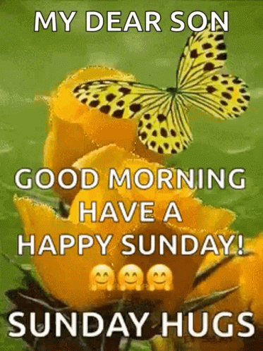 A Butterfly Is Sitting On Top Of A Yellow Flower And Says `` My Dear Son Good Morning Have A Happy Sunday ! '' GIF