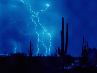 A Cactus Is Silhouetted Against A Lightning Storm GIF