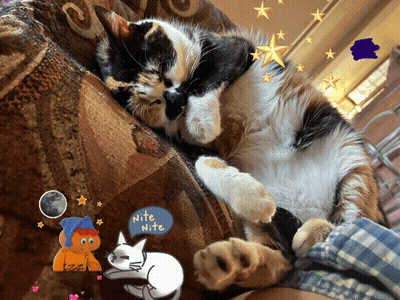 A Calico Cat Sleeping On A Couch With A Blue Sticker That Says Nite Nite GIF