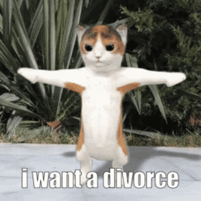 A Calico Cat With Its Arms Outstretched And The Words I Want A Divorce Below It GIF