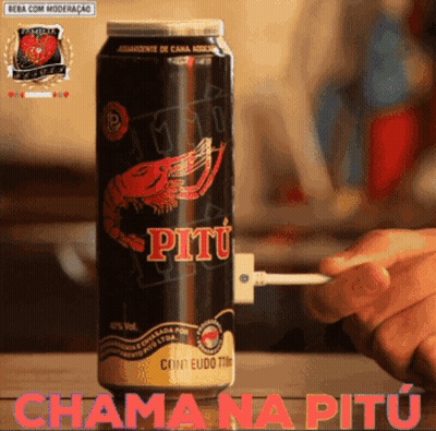 A Can Of Pitu Beer With A Shrimp On The Label GIF