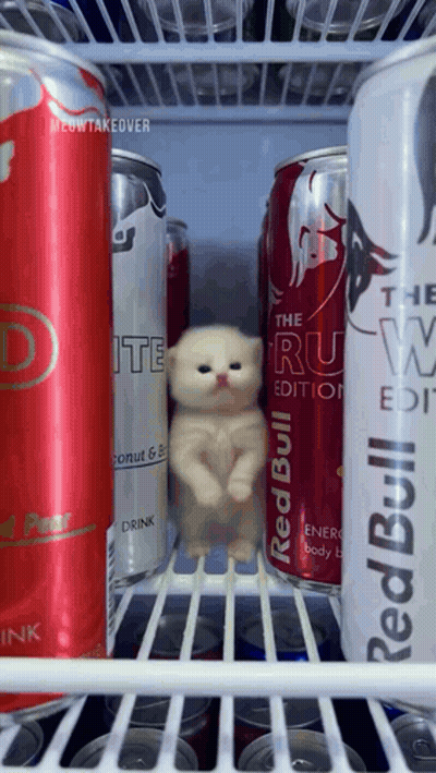 A Can Of Red Bull Sits On A Shelf Next To Some Other Cans GIF