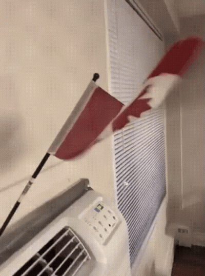 A Canadian Flag Is Blowing In The Wind Next To A Window . GIF