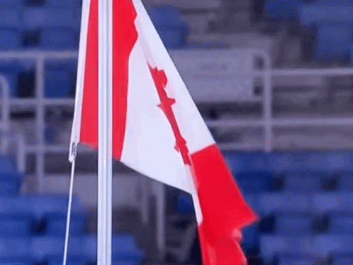 Canadian Flag Flying In Front Of Stadium GIF