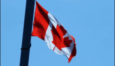 A Canadian Flag Is Waving In The Wind GIF
