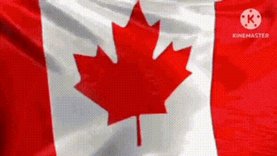 A Canadian Flag With A Red Maple Leaf On It Is Waving In The Wind . GIF