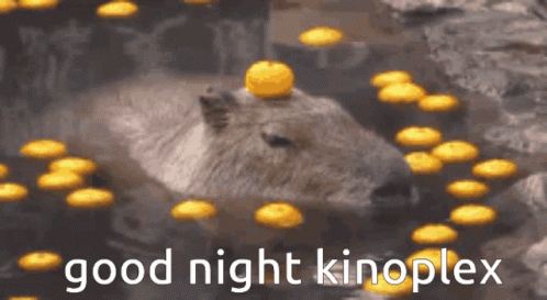 A Capybara Is Laying In The Water Surrounded By Yellow Candles And The Words Good Night Kinoplex GIF
