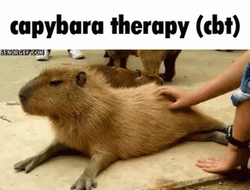 A Capybara Laying On The Ground Being Petted By Someone GIF