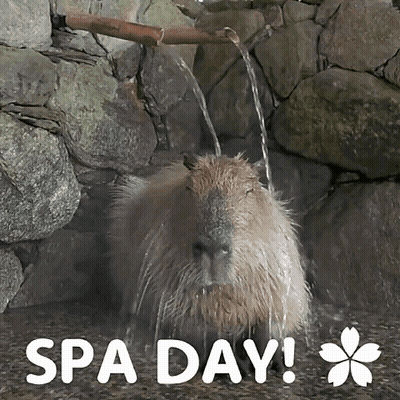 A Capybara Taking A Bath With The Words Spa Day Written Above It GIF